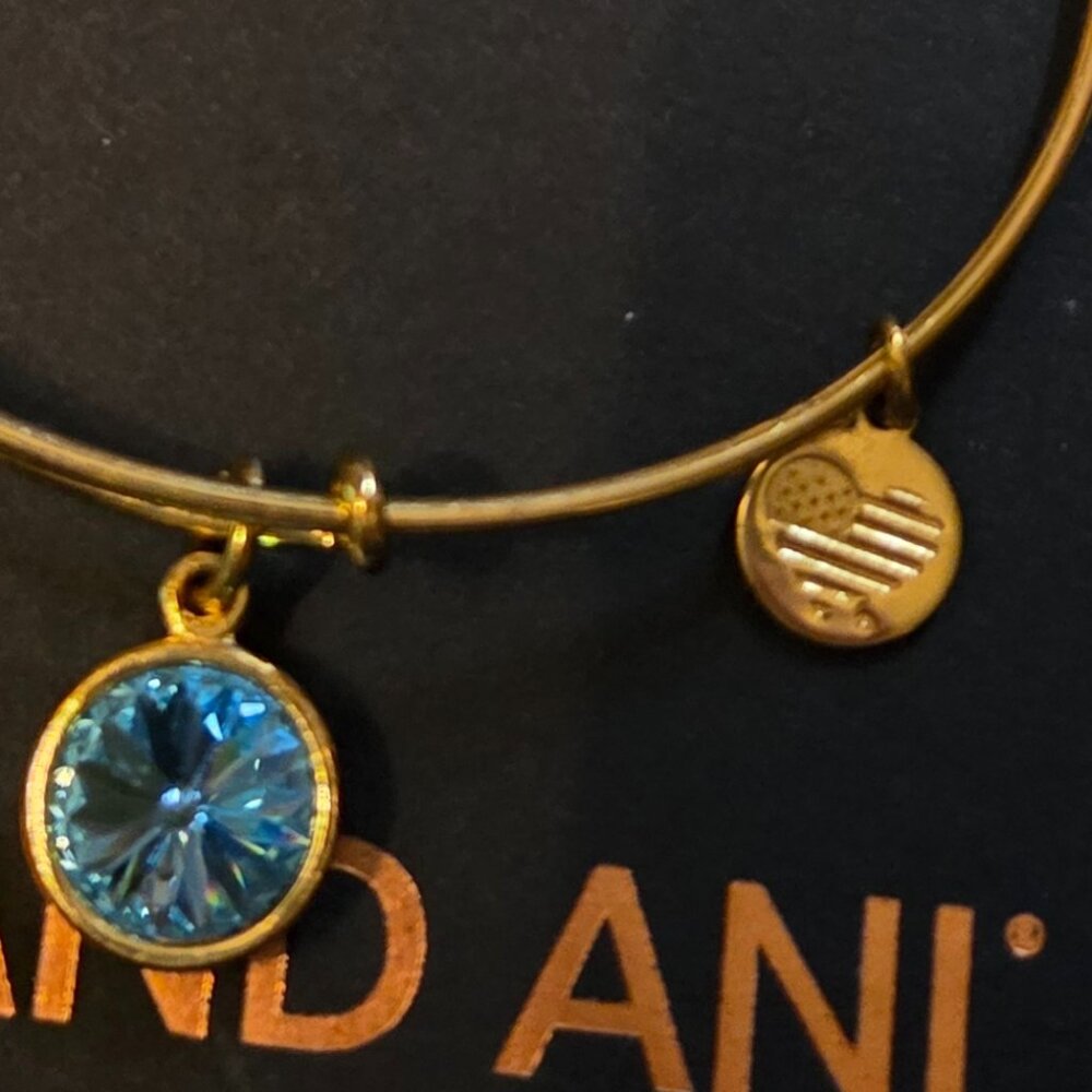ALEX AND ANI 18K RAFAELIAN GOLD PLATED BANGLE BAR EXPANDABLE BRACELET WITH CHARM - Picture 3 of 3